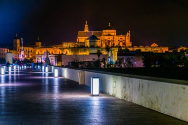 İspanya 'nın Cordoba kentindeki Guadalquivir nehri üzerindeki aydınlık Roma köprüsünün gece görüşü.