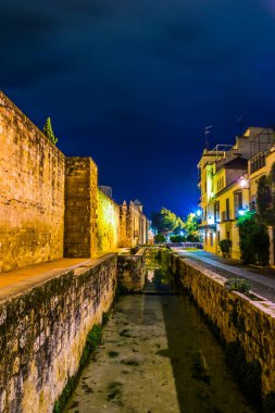 night view of a fortification with an artificial pond situated in the spanish city cordoba
