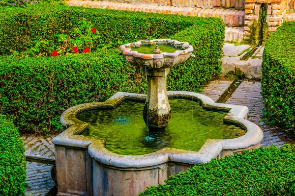 View Garden Alcazaba Fortress Spanish City Malaga — Stock Photo, Image