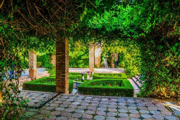 View Garden Alcazaba Fortress Spanish City Malaga — стоковое фото