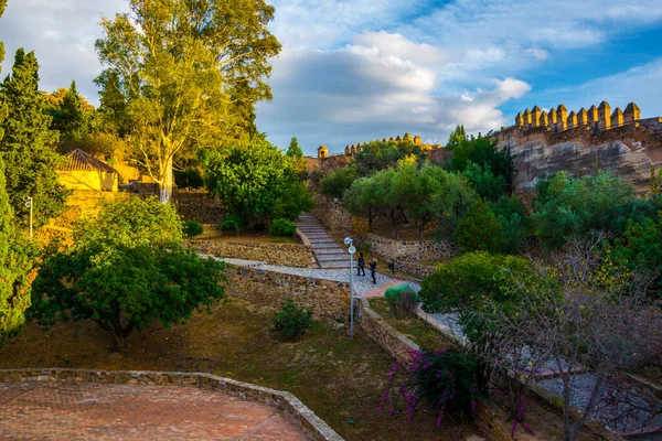 Vista Patio Del Castillo Gibralfaro Malaga Con Árbol — Foto de Stock