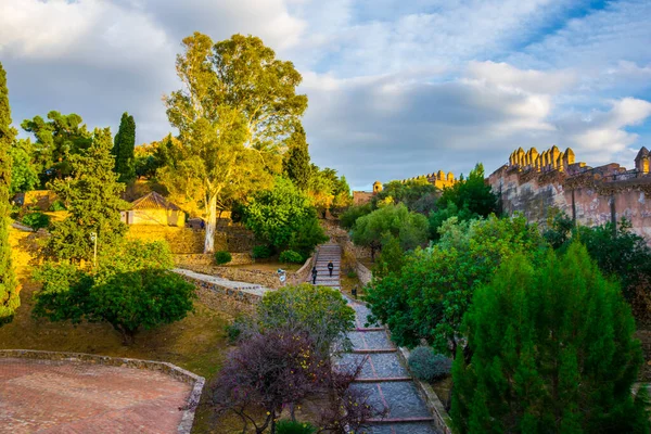 Vista Patio Del Castillo Gibralfaro Malaga Con Árbol — Foto de Stock