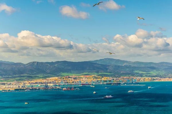 Aerial View Port Algeciras Spain — Stock fotografie