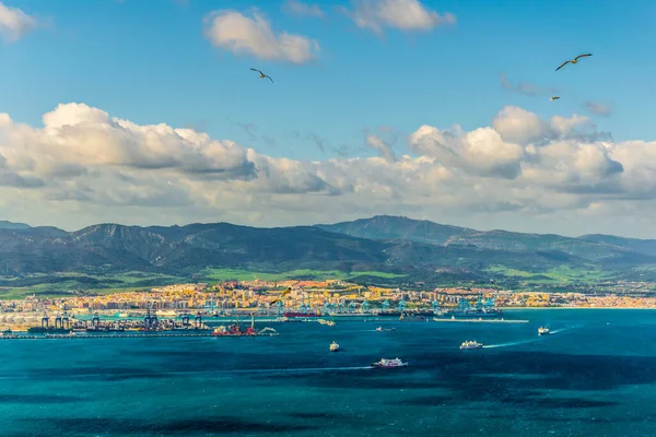 Aerial View Port Algeciras Spain — Stock fotografie