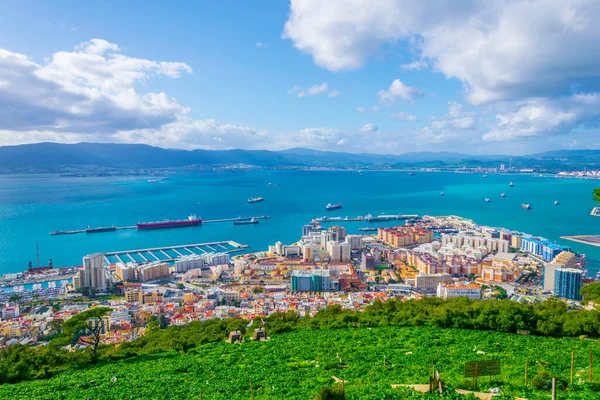 Zicht Vanuit Lucht Gibraltar Genomen Vanaf Top Van Bovenste Rots — Stockfoto