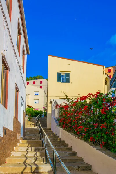 View Colorful Narrow Street Gibraltar — Stock Photo, Image