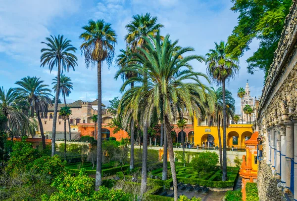 İspanyol şehri Sevilla 'daki gerçek Alcazar Sarayı' nın manzarası