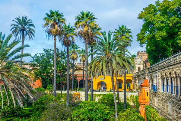 View Garden Real Alcazar Palace Spanish City Sevilla — Stok fotoğraf