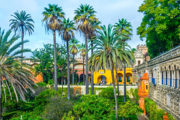 View Garden Real Alcazar Palace Spanish City Sevilla — Stockfoto