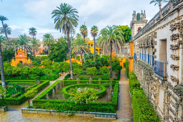 View Garden Real Alcazar Palace Spanish City Sevilla — Foto de Stock