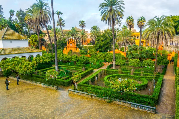 İspanyol şehri Sevilla 'daki gerçek Alcazar Sarayı' nın manzarası