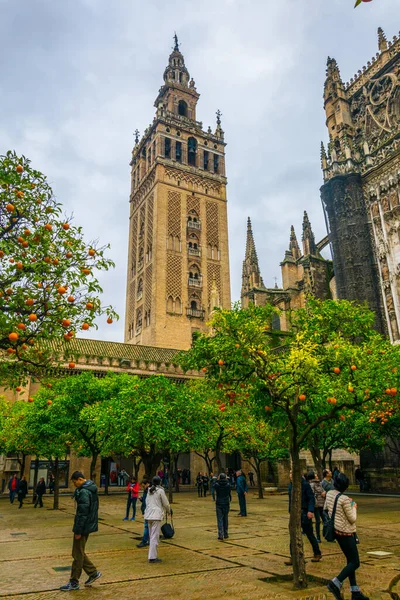 Torre Giralda Com Laranjeiras Vistas Pátio Los Naranjos Dentro Catedral — Fotografia de Stock