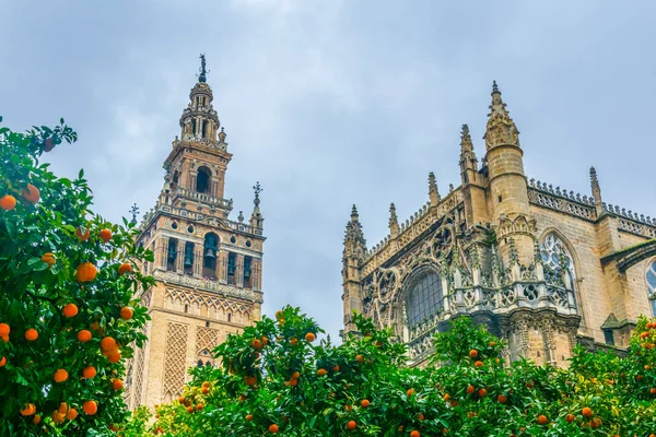 Detail Giralda Tower Spanish City Sevilla — Stockfoto