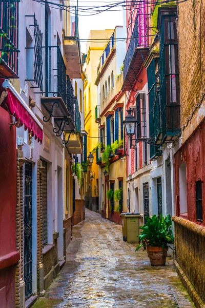 İspanyol şehri Sevilla 'nın merkezinde yer alan dar bir cadde.