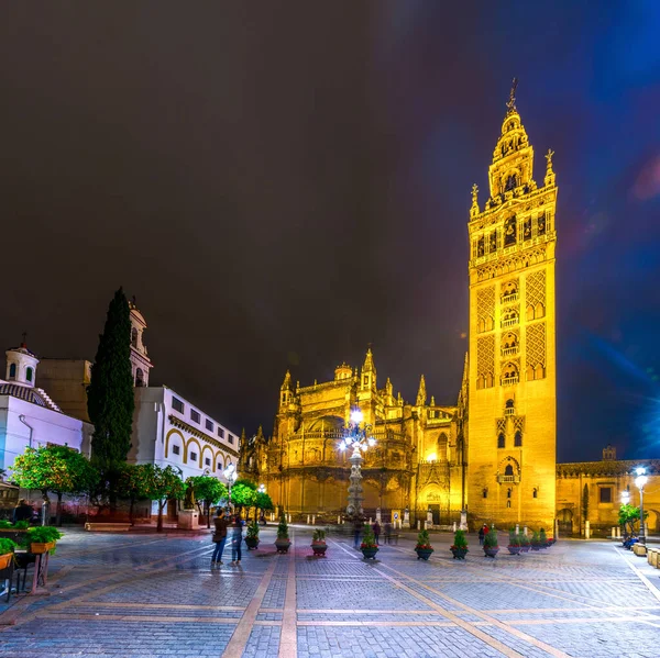 Night View Illuminated Cathedral Sevilla — Stockfoto