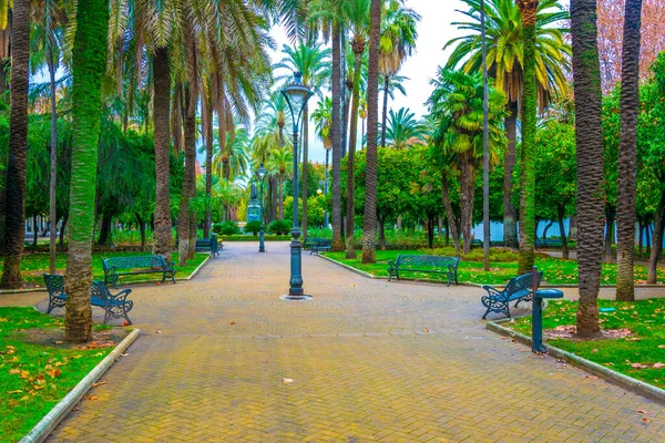 İspanya 'nın Cordoba şehrinde Jardines de la Victoria adlı bir halk parkı manzarası