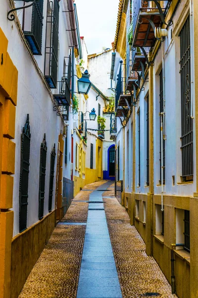 İspanyol şehri Cordoba 'nın Yahudi mahallesinin beyaz yıkanmış sokakları