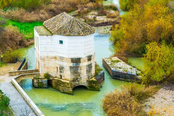 İspanyol şehri Cordoba 'daki antik su değirmeninin manzarası
