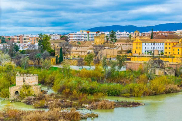 View Ancient Water Mill Spanish City Cordoba — 스톡 사진