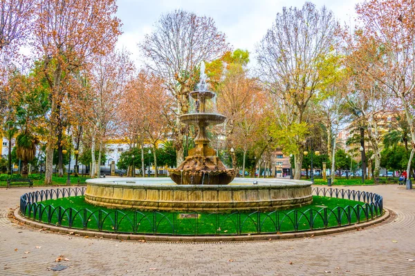 İspanyol şehri Cordoba 'daki Jardines de la Merced Gardens' ın içindeki plaza de colon meydanında yer alan çeşme.
