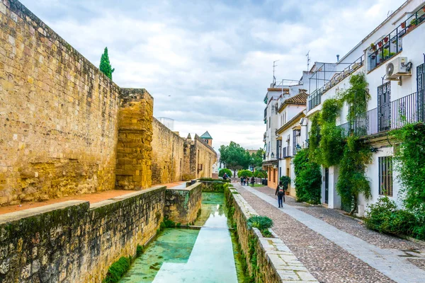 View Fortification Artificial Pond Situated Spanish City Cordoba — Stock Photo, Image
