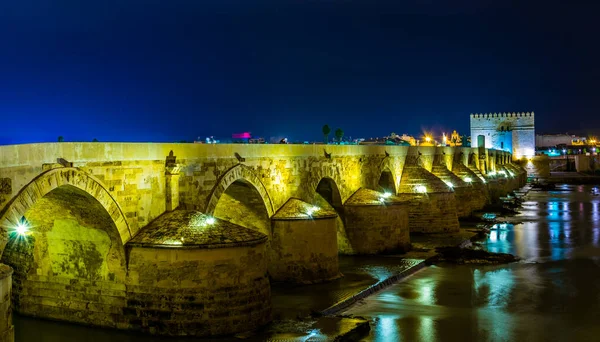 İspanya 'nın Cordoba kentindeki Guadalquivir nehri üzerindeki aydınlık Roma köprüsünün gece görüşü.