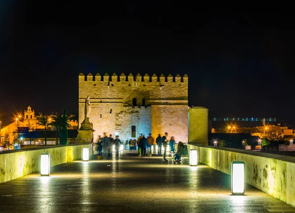 İnsanlar İspanya 'nın Cordoba şehrindeki Roma köprüsünden geçerek La mezquita katedraline doğru yürüyorlar..