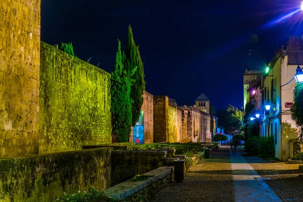 Night View Fortification Artificial Pond Situated Spanish City Cordoba — Stock Photo, Image