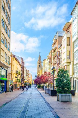 İnsanlar Logrono 'da bir sokakta geziniyor.