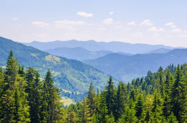 Bulgaristan'da Rodop dağının havadan görünümü