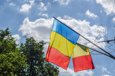 Romanya bayrağı rüzgarda sallanıyor arkasında bir ağaç var.