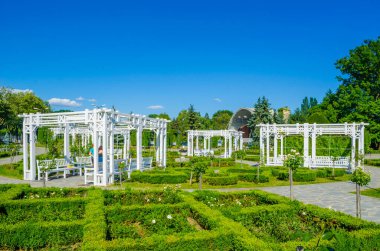 Romanya 'nın Timisoara kentindeki açık hava tiyatrosu bir gül parkıyla çevrili..