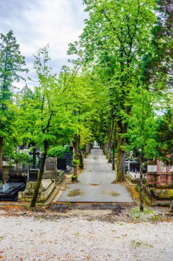 Zagreb 'deki mirogoj mezarlığı Hırvatistan' ın başkenti manzaralı