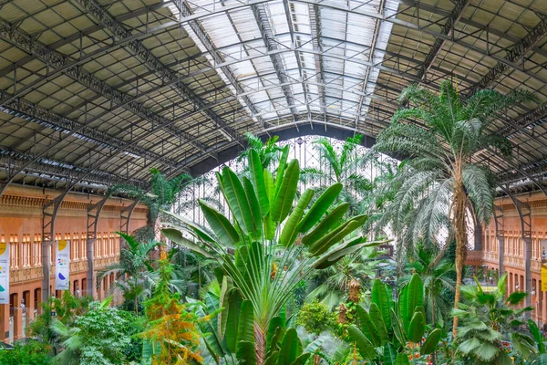 stock image Tropical green house, located in the Atocha Railway Station in Madrid.