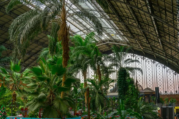 Tropical Green House Located Atocha Railway Station Madrid — Stok fotoğraf