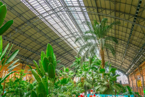 Tropical Green House Located Atocha Railway Station Madrid — Stok fotoğraf