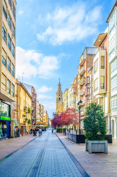 İnsanlar Logrono 'da bir sokakta geziniyor.