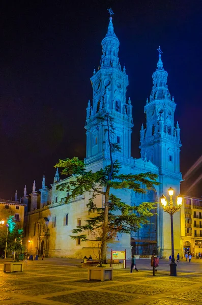 Spanya Nın Logron Şehrindeki Santa Maria Redonda Concatedral Gece Manzarası — Stok fotoğraf