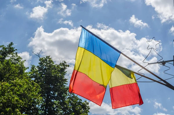 Romanian Flag Waving Wind Tree — Stock Photo, Image