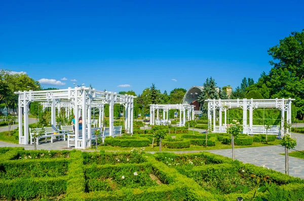 Romanya 'nın Timisoara kentindeki açık hava tiyatrosu bir gül parkıyla çevrili..