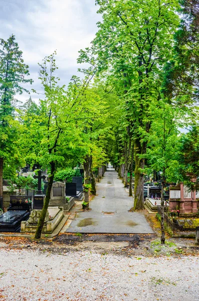 Zagreb 'deki mirogoj mezarlığı Hırvatistan' ın başkenti manzaralı