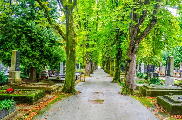 Blumen Und Kerzen Auf Grabsteinen Auf Dem Friedhof Mirogoj — Stockfoto