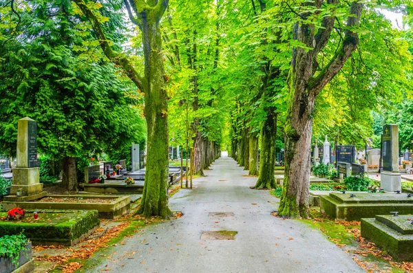 Blumen Und Kerzen Auf Grabsteinen Auf Dem Friedhof Mirogoj — Stockfoto