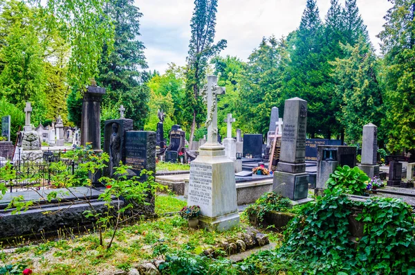 Blumen Und Kerzen Auf Grabsteinen Auf Dem Friedhof Mirogoj — Stockfoto