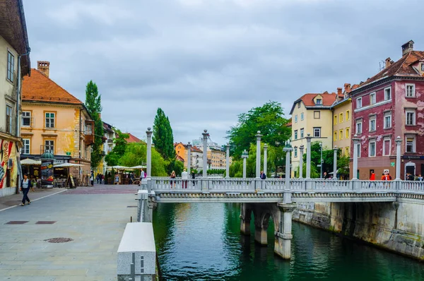 Kilátás Nyílik Folyó Ljubljanica Megy Keresztül Történelmi Központjában Ljubljana Slovenia — Stock Fotó