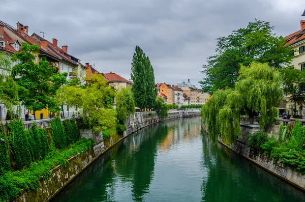 Ljubljanica nehri, Ljubljana 'nın tarihi merkezinden geçiyor.