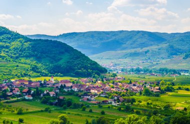 Avusturya 'nın Wachau vadisinde yer alan küçük bir köyün hava manzarası..