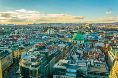 Viyana 'nın havadan görünüşü, belediye binası kulesi, votivkirche ve stephansdom katedralindeki peterskirche kiliseleri..