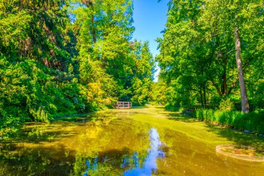 Wroclaw Üniversitesi, Polan Botanik Bahçesi 'nin içinde süslü bir göl.