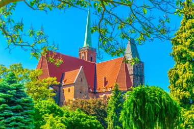 Kutsal Haç Kilisesi ve St. Bartholomew Wroclaw, Polan 'daki üniversite botanik bahçesinden izlendi.